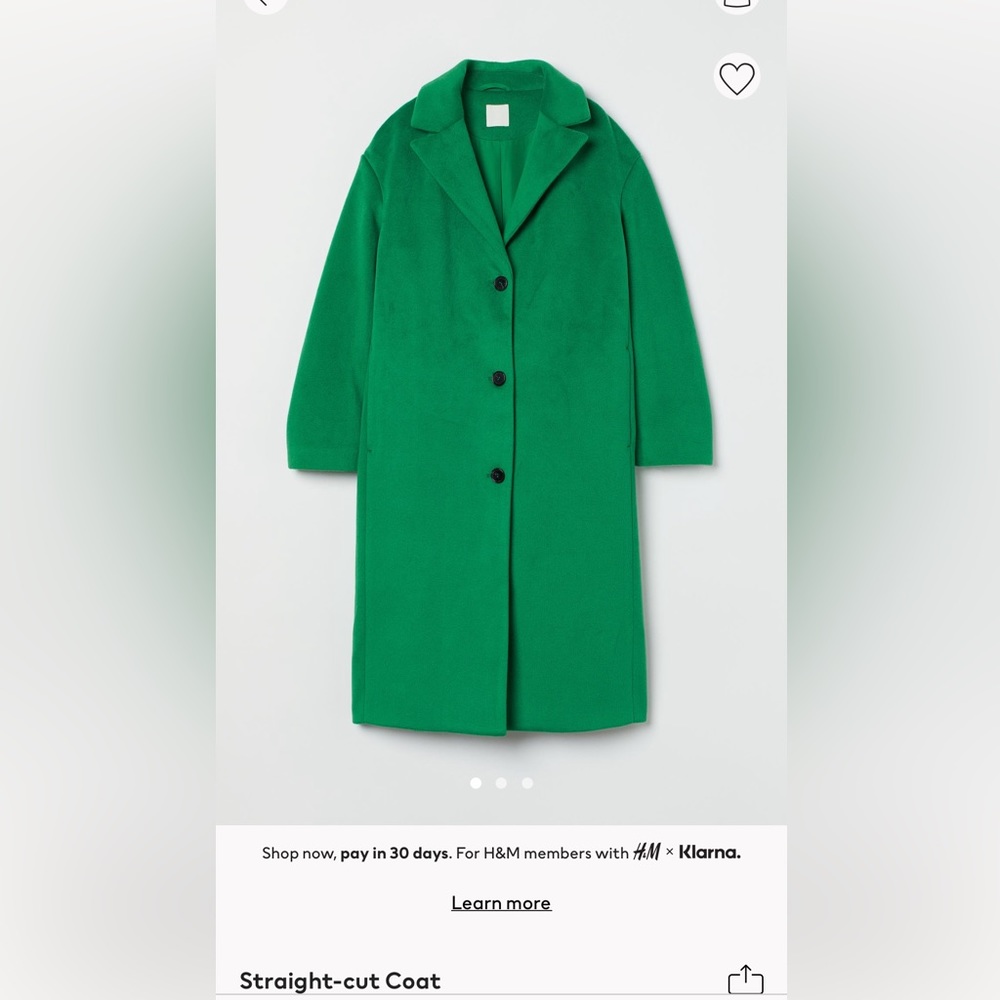 NWT H&M green coat